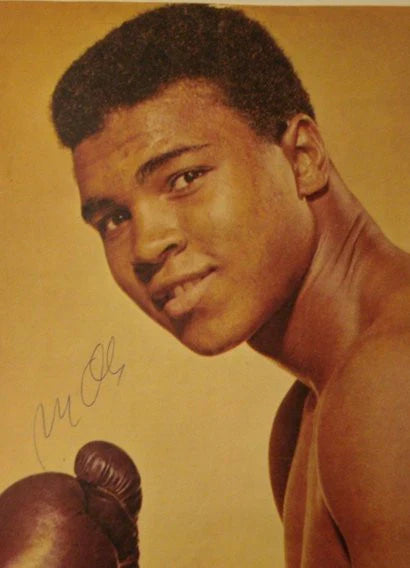 Celebrity Signed Memorbilia